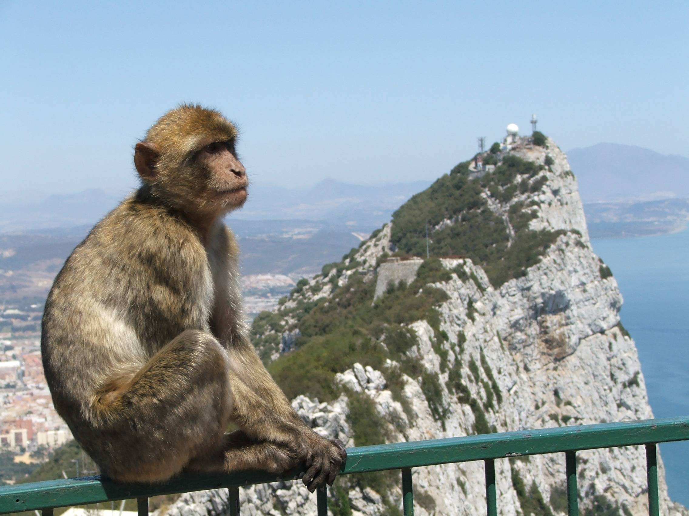 Visit Gibraltar with Haro Rent A Car Hire Car Services