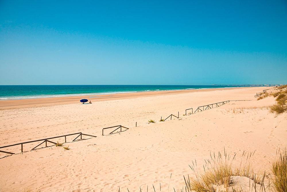 Discover the most beautiful beaches in Cádiz. Palmar beach in cadiz